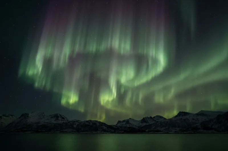 Green auroral curtains with a violet upper edge over a dark fjord.