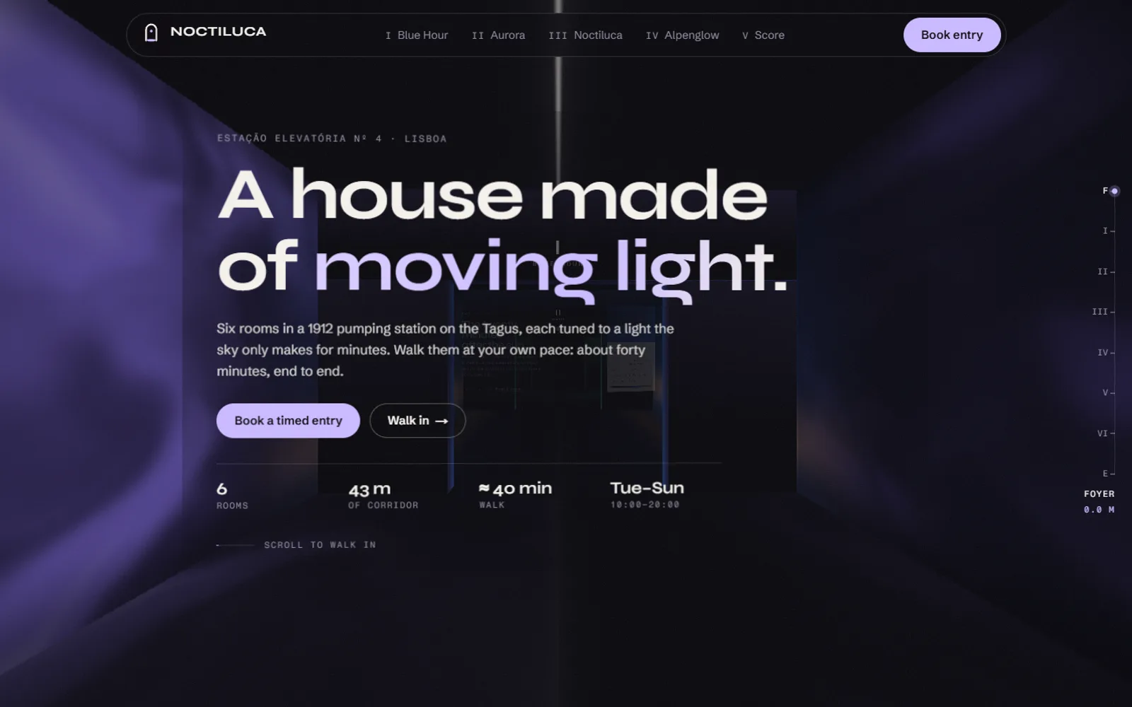 Noctiluca preview